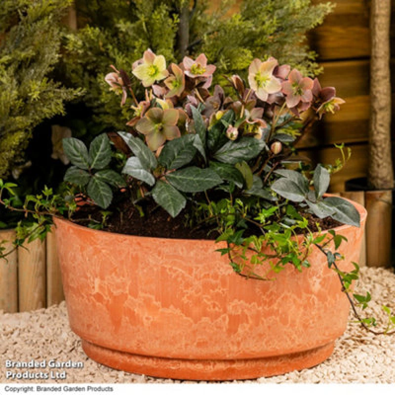 Image of Garden Gear Caesar Bowl 34.5Cm Marble Terracotta