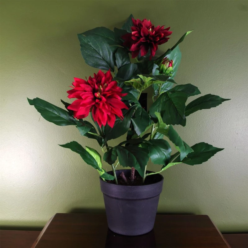 Image of Leaf Artificial Dhalia Flowering Plant Red Red