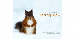 Image of On the trail of red squirrels by Will Nicholls