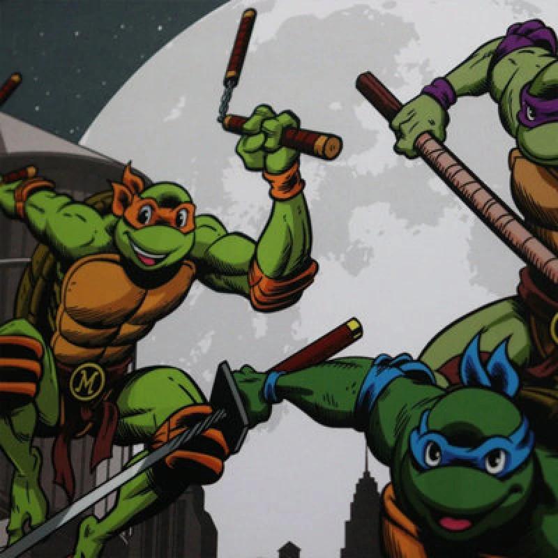 Image of Teenage Mutant Ninja Turtles Limited Edition 40th Anniversary Collectible Coin Multi unisex