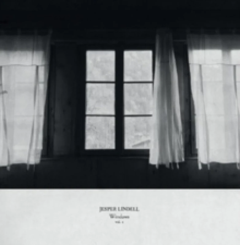 Image of Windows Vol. 1 Vinyl