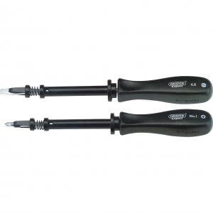 image of Draper Expert 2 Piece Screwdriver Set