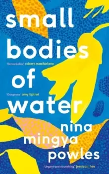 Image of Small Bodies of Water