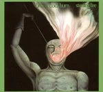 Image of Bruce Cockburn - Stealing Fire [Remastered]