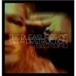 Image of Baby Bird - The Pleasures Of Self Destruction (Music CD)