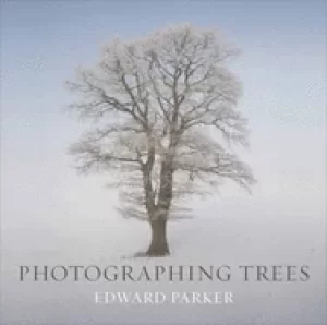 Image of photographing trees