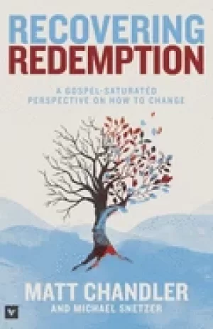 Image of recovering redemption a gospel saturated perspective on how to change
