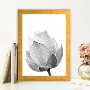 Image of AC81242533 Multicolor Decorative Framed MDF Painting