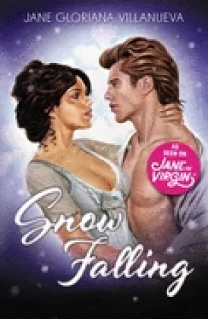 Image of snow falling