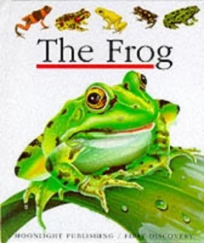 Image of The Frog by Daniel Moignot and Gallimard Jeunesse Hardback