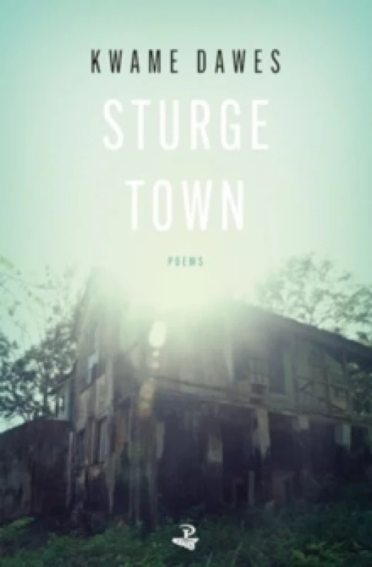 Image of Sturge Town Paperback / softback