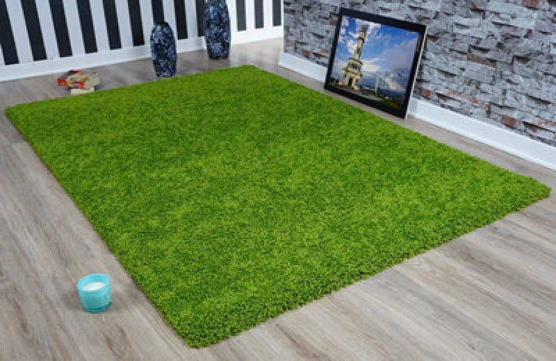 Image of Smart Living Smart Living Soft Fluffy 5cm Thick Pile Shaggy Area Rugs for Living Room, Bedroom in Green Size: 60cm x 110cm Green 60cm x 110cm Unisex