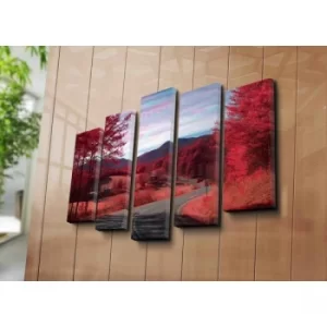 Image of 5NATPAT-1 Multicolor Decorative Canvas Painting (5 Pieces)