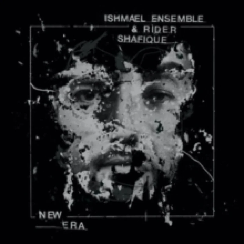 Image of New Era Vinyl