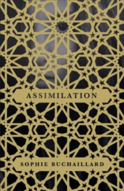 Image of Assimilation Paperback / softback