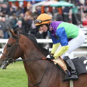 Image of Red Letter Days - Day at the Races with Lunch for Two