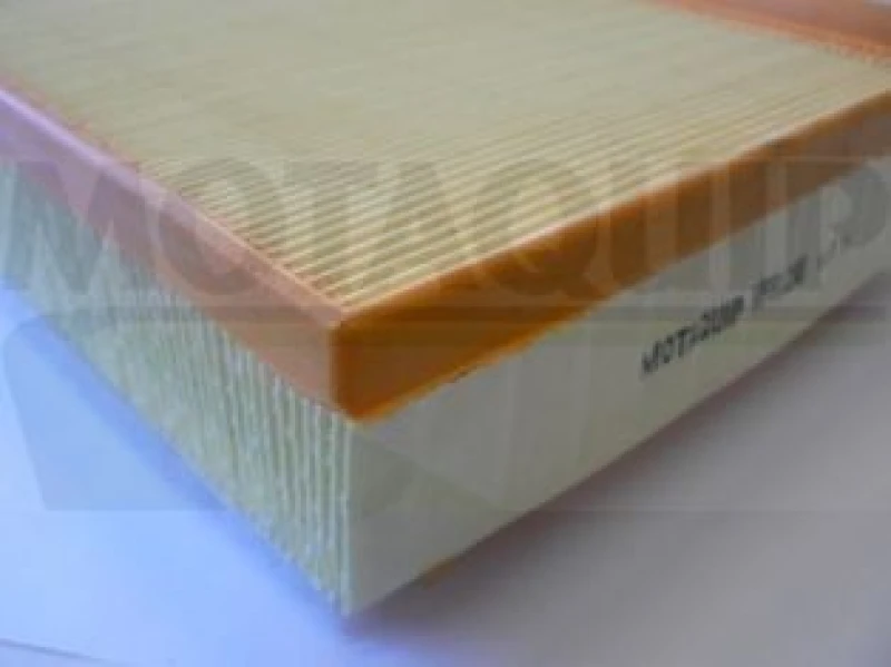 Image of MOTAQUIP Air filter MOTAQUIP VFA1238