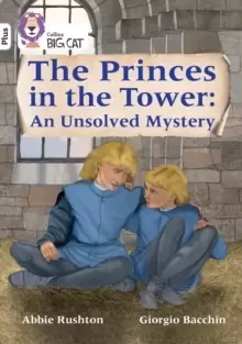 Image of The Princes in the Tower: An Unsolved Mystery : Band 10+/White Plus