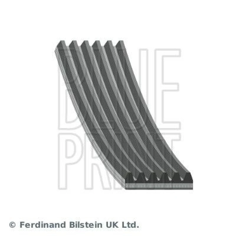 Image of Blue PRINT Serpentine belt Blue PRINT AD06R2138