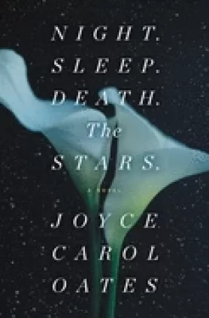 Image of night sleep death the stars a novel