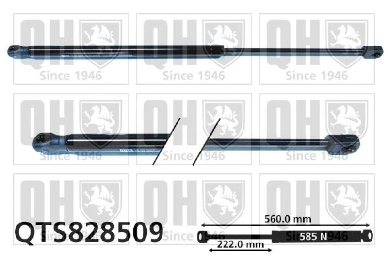 Image of QUINTON HAZELL Tailgate strut QUINTON HAZELL QTS828509