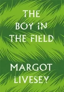 Image of The Boy in the Field : 'A superb family drama' DAILY MAIL