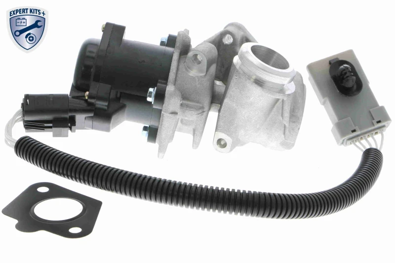 Image of VEMO V25-63-0009 EGR valve Control Valve, with cable, Electric, with gasket/seal, EXPERT KITS + EGR Valve (1145)