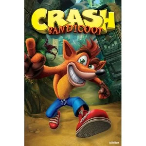 image of Crash Bandicoot - Next Gen Bandicoot Maxi Poster