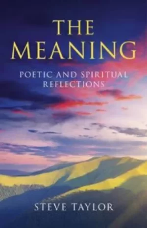 Image of The meaning by Steve Taylor