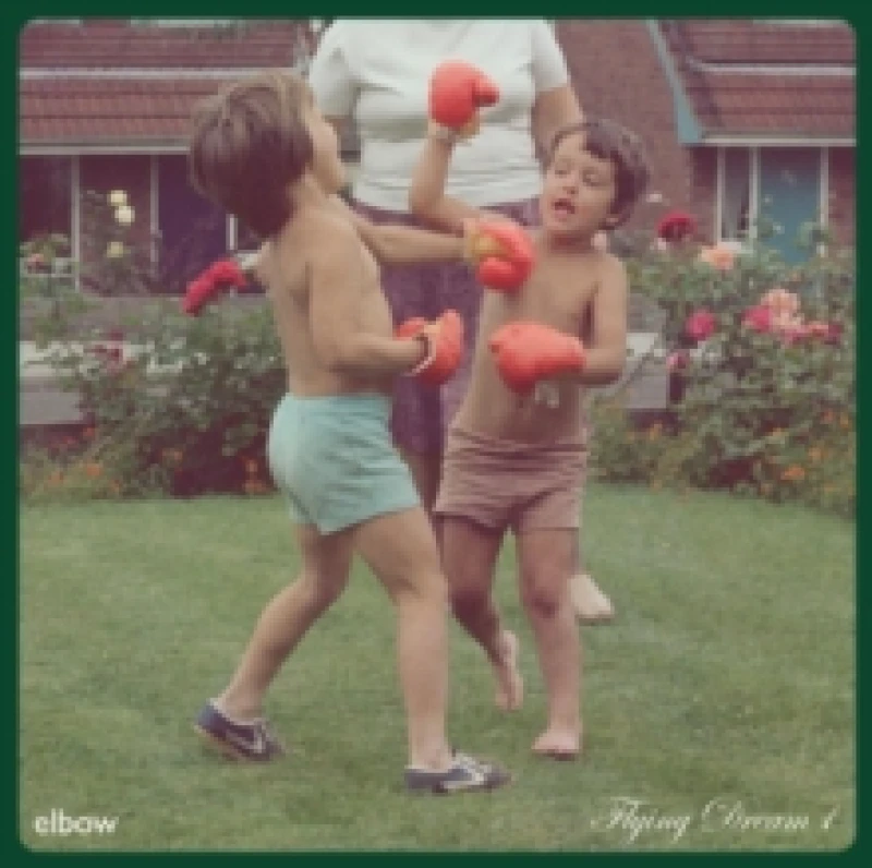 Image of Flying Dream 1 Vinyl
