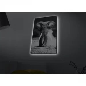 Image of 4570MDACT-051 Multicolor Decorative LED Lighted Canvas Painting