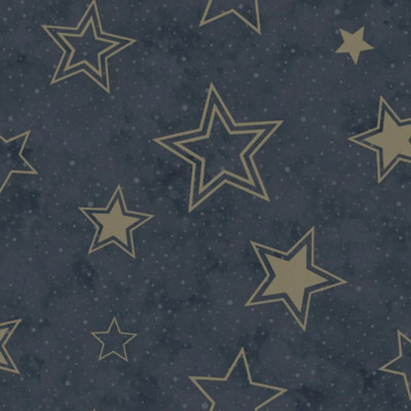 Image of Holden Decor Stardust Midnight Blue / Gold Children's Wallpaper, Blue 14061