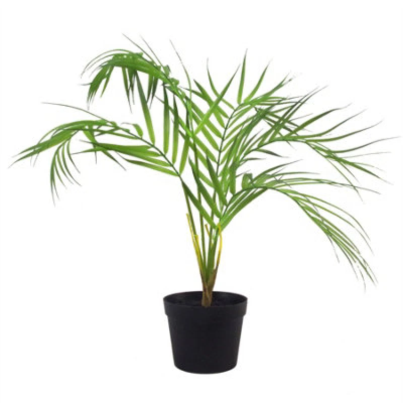 Image of Leaf 50cm Mini Artificial Areca Palm Green unisex