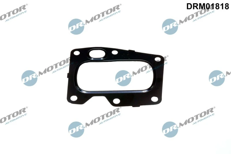 Image of DR.MOTOR AUTOMOTIVE EGR valve gasket DR.MOTOR AUTOMOTIVE DRM01818
