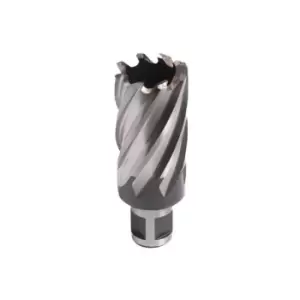 image of Evolution Long Broaching Cutter 25mm