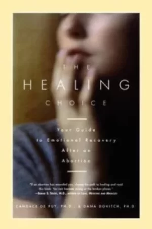 Image of The healing choice by Candace De Puy