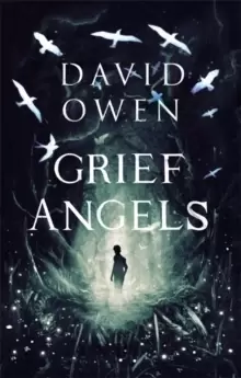 Image of Grief Angels
