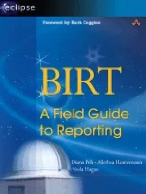 Image of birt a field guide to reporting