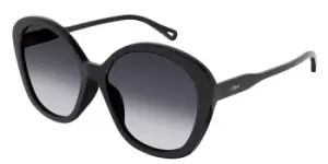 Image of Chloe Sunglasses CH0081S 005