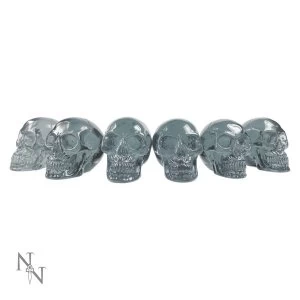 Image of Quartz Pack Of 6 Skulls
