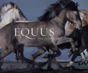 Image of Equus by Tim Flach Hardback