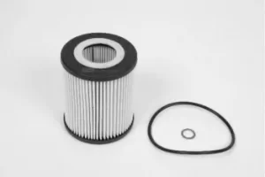 image of Champion XE573 COF100573E Oil Filter Insert