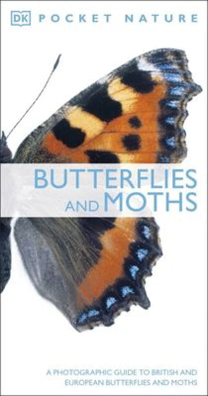 Image of Butterflies and Moths by Paul Sterry and Andrew Mackay Paperback