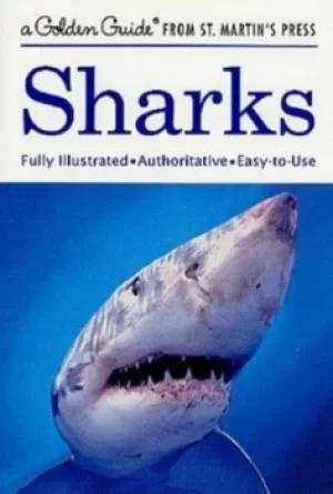 Image of Sharks by Andrea Gibson