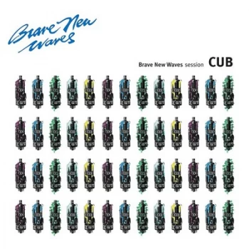 Image of Cub - Brave New Waves Session Vinyl