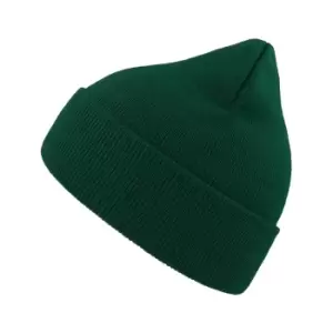 Image of Atlantis Eko Soft Beanie (One Size) (Pine Green)
