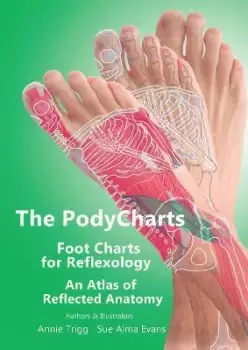 Image of The PodyCharts foot charts for reflexology by Annie Trigg