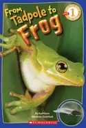 Image of from tadpole to frog
