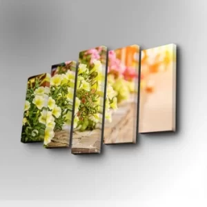 Image of 5PUC-064 Multicolor Decorative Canvas Painting (5 Pieces)