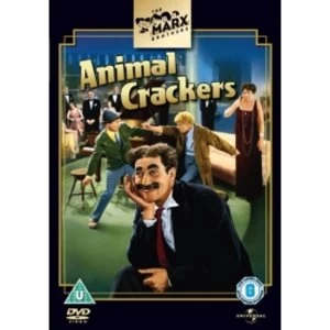 Image of Animal Crackers DVD